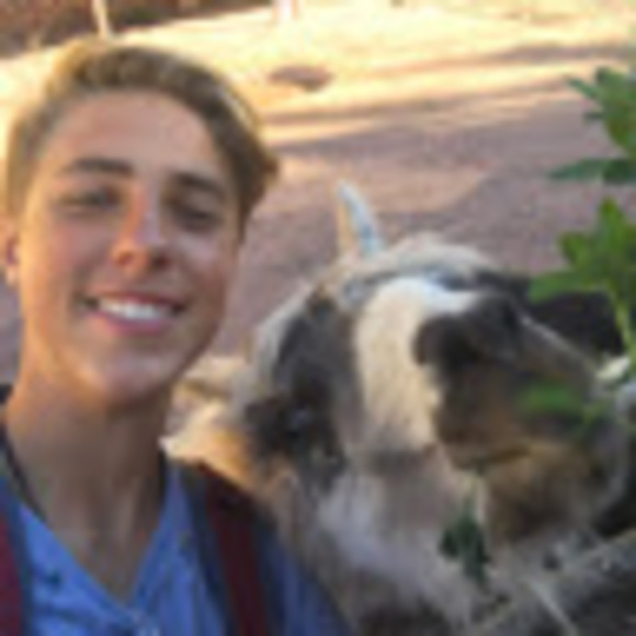 Meet your Posher, Brayden - Picture 1 of 1